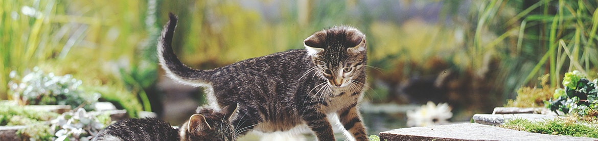 gemakkelijk lekker-eten