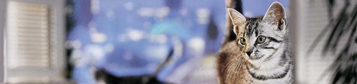 het-hoe-en-waarom-van-de-voedingsstoffen die-ze-nodig-heeft