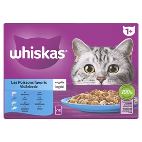 Whiskas 1+ Natvoer - Vis Selectie in Gelei - Maaltijdzakjes 12 x 85 g