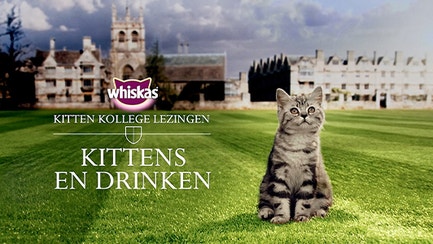 kk kittens-en-voeding-2