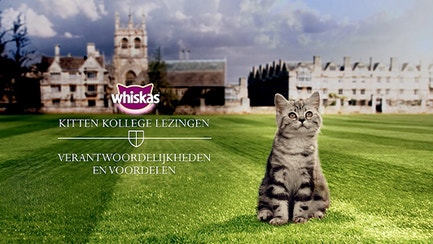 kk verantwoordelijkheden-en-voordelen