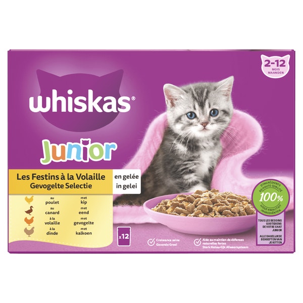Whiskas Junior Natvoer- Gevogelte Selectie in Gelei - Maaltijdzakjes 12 x 85 g