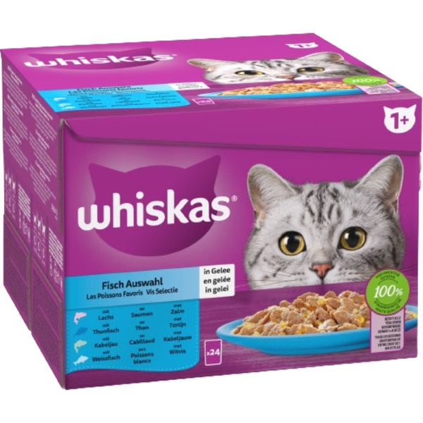 3065890156869_T9 (1)