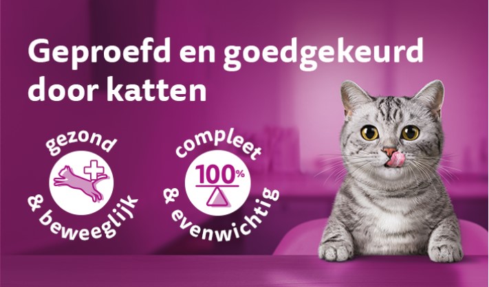 X66540-whiskas-banner-705x415-v2